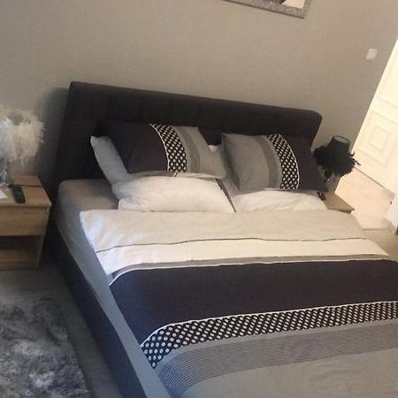 Studio Apartman Ana オシエク エクステリア 写真